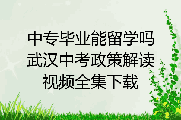 中专毕业能留学吗武汉中考政策解读视频全集下载