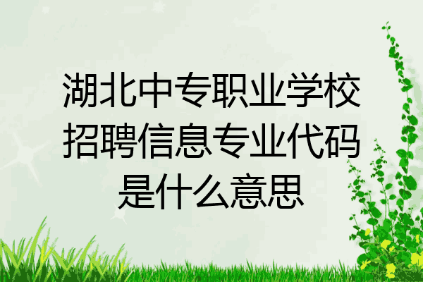 湖北中专职业学校招聘信息专业代码是什么意思