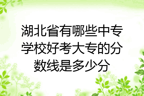 湖北省有哪些中专学校好考大专的分数线是多少分