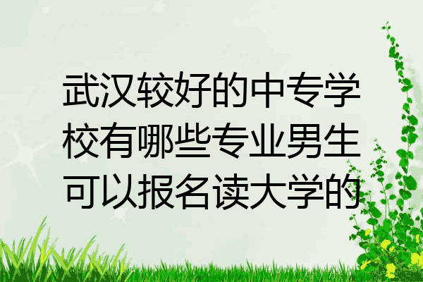 武汉较好的中专学校有哪些专业男生可以报名读大学的