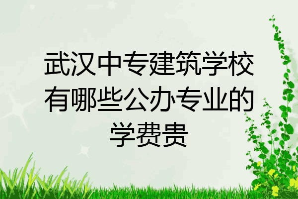 武汉中专建筑学校有哪些公办专业的学费贵