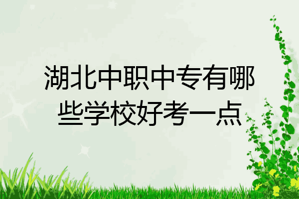 湖北中职中专有哪些学校好考一点