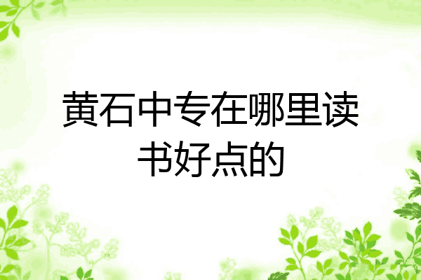黄石中专在哪里读书好点的