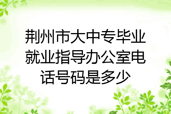 荆州市大中专毕业就业指导办公室电话号码是多少