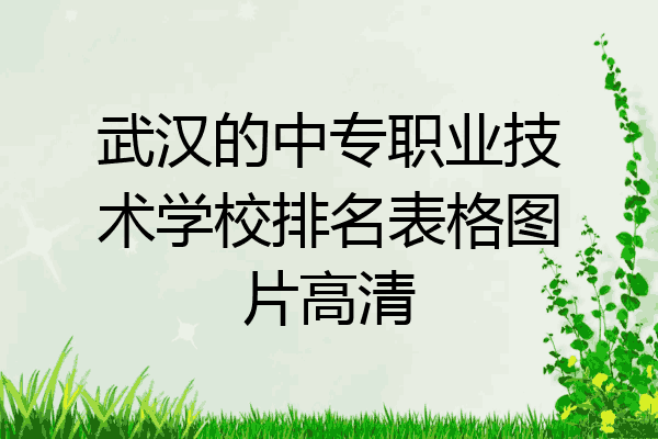 武汉的中专职业技术学校排名表格图片高清