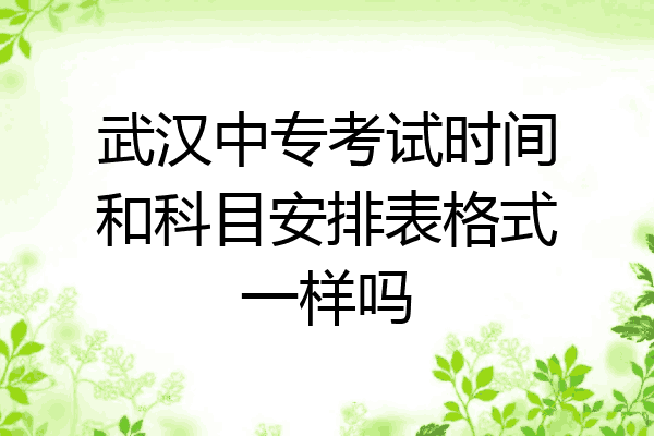 武汉中专考试时间和科目安排表格式一样吗