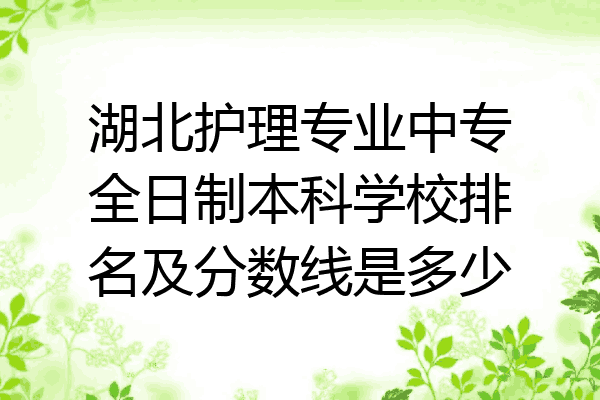 湖北护理专业中专全日制本科学校排名及分数线是多少