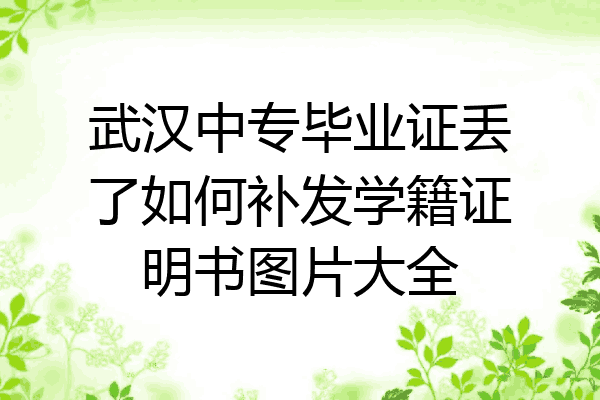 武汉中专毕业证丢了如何补发学籍证明书图片大全