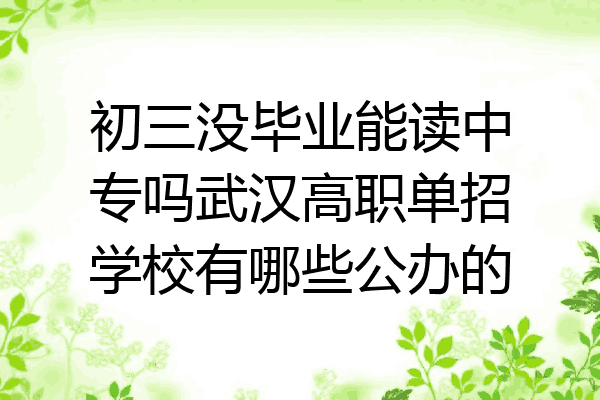 初三没毕业能读中专吗武汉高职单招学校有哪些公办的