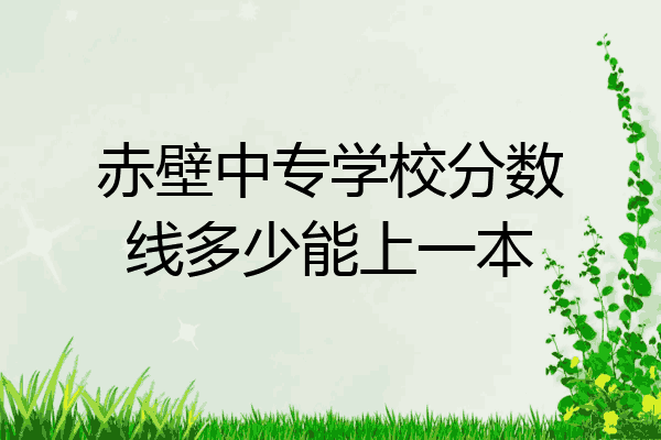 赤壁中专学校分数线多少能上一本