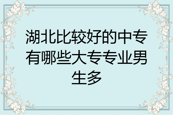 湖北比较好的中专有哪些大专专业男生多