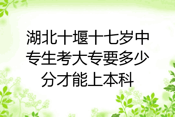 湖北十堰十七岁中专生考大专要多少分才能上本科