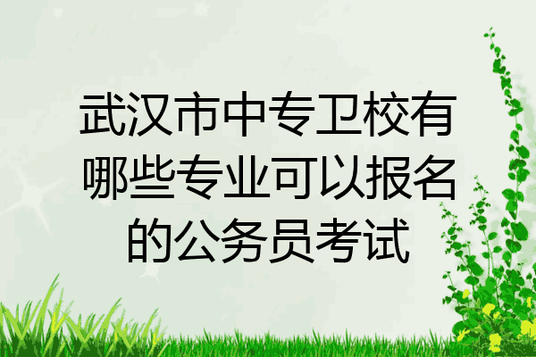 武汉市中专卫校有哪些专业可以报名的公务员考试