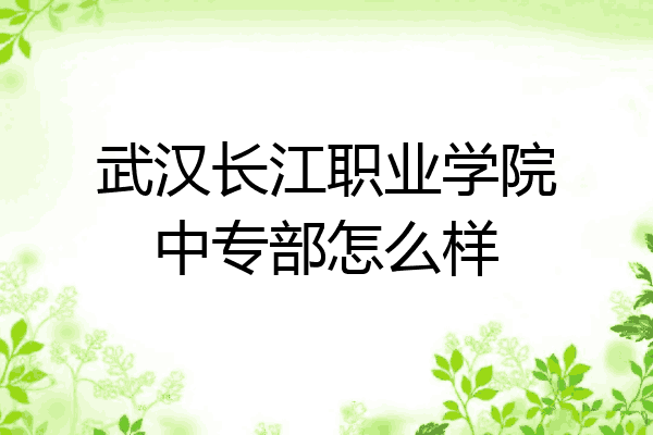武汉长江职业学院中专部怎么样