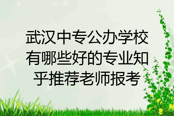 武汉中专公办学校有哪些好的专业知乎推荐老师报考