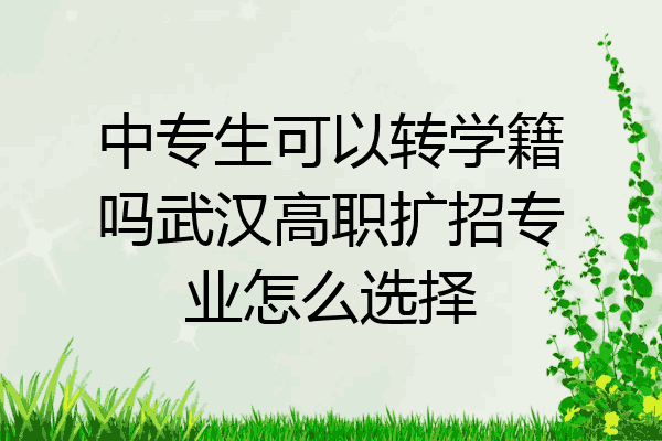 中专生可以转学籍吗武汉高职扩招专业怎么选择