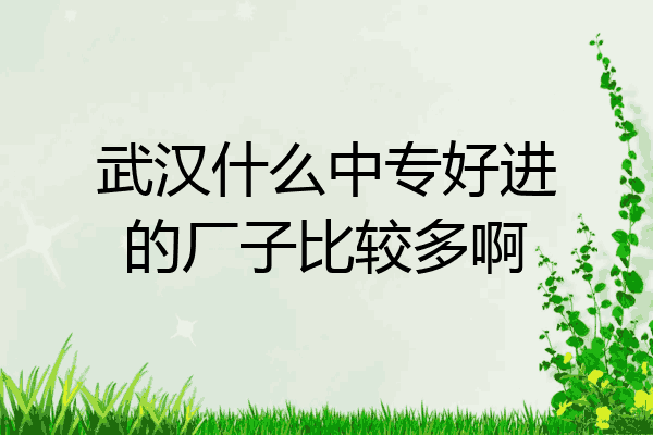 武汉什么中专好进的厂子比较多啊