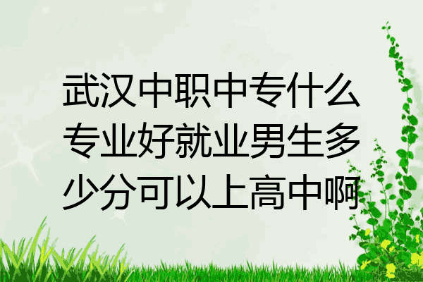 武汉中职中专什么专业好就业男生多少分可以上高中啊