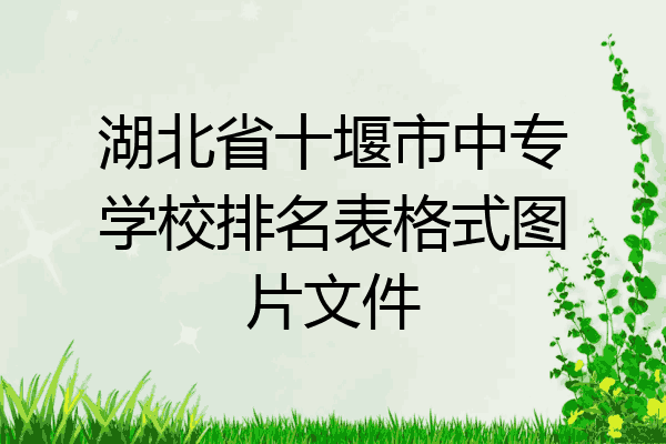 湖北省十堰市中专学校排名表格式图片文件