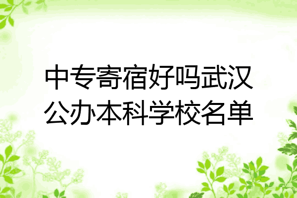 中专寄宿好吗武汉公办本科学校名单