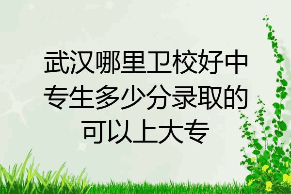 武汉哪里卫校好中专生多少分录取的可以上大专