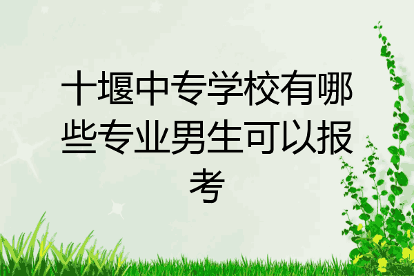 十堰中专学校有哪些专业男生可以报考