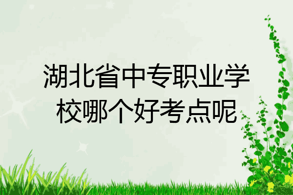 湖北省中专职业学校哪个好考点呢