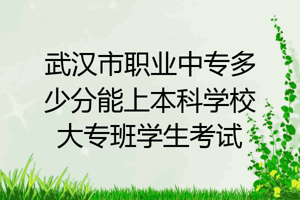 武汉市职业中专多少分能上本科学校大专班学生考试