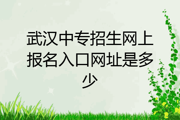 武汉中专招生网上报名入口网址是多少