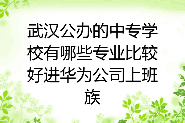武汉公办的中专学校有哪些专业比较好进华为公司上班族