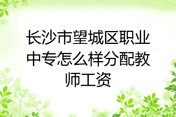 长沙市望城区职业中专怎么样分配教师工资