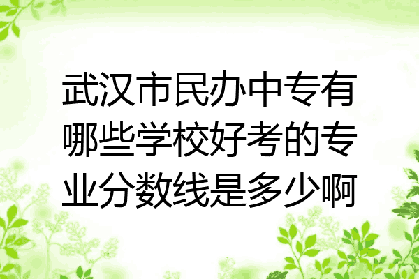 武汉市民办中专有哪些学校好考的专业分数线是多少啊