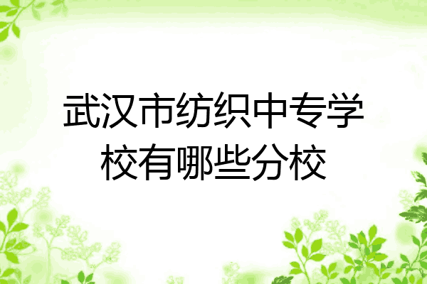 武汉市纺织中专学校有哪些分校