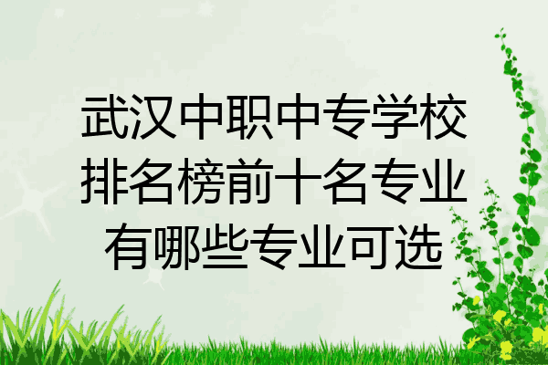 武汉中职中专学校排名榜前十名专业有哪些专业可选