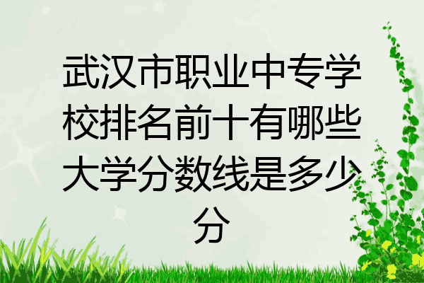武汉市职业中专学校排名前十有哪些大学分数线是多少分