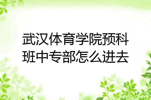 武汉体育学院预科班中专部怎么进去