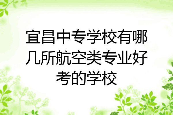 宜昌中专学校有哪几所航空类专业好考的学校