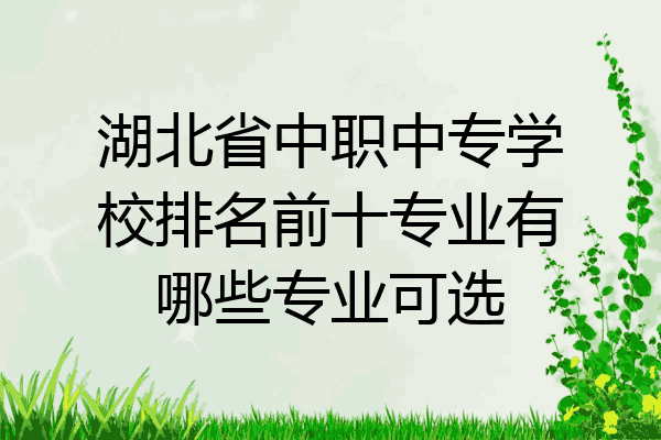 湖北省中职中专学校排名前十专业有哪些专业可选