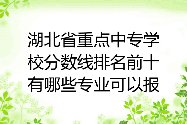 湖北省重点中专学校分数线排名前十有哪些专业可以报