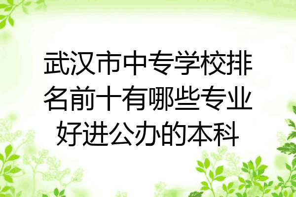 武汉市中专学校排名前十有哪些专业好进公办的本科