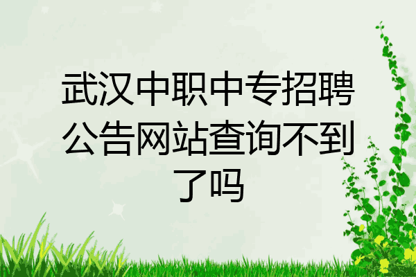 武汉中职中专招聘公告网站查询不到了吗