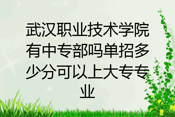 武汉职业技术学院有中专部吗单招多少分可以上大专专业