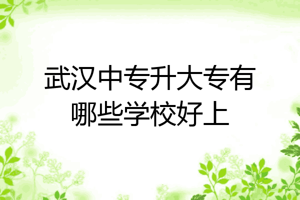 武汉中专升大专有哪些学校好上