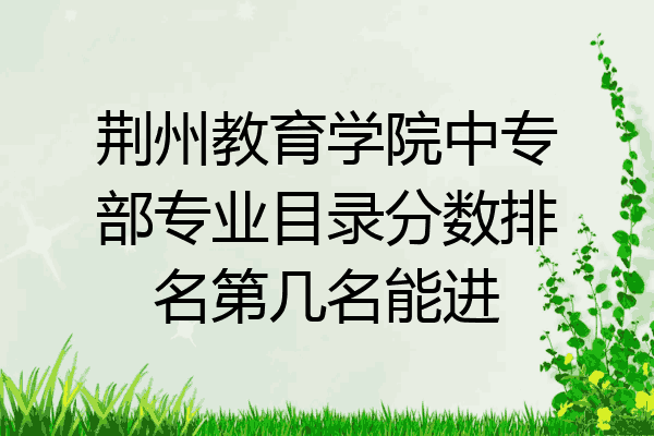 荆州教育学院中专部专业目录分数排名第几名能进