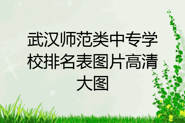 武汉师范类中专学校排名表图片高清大图
