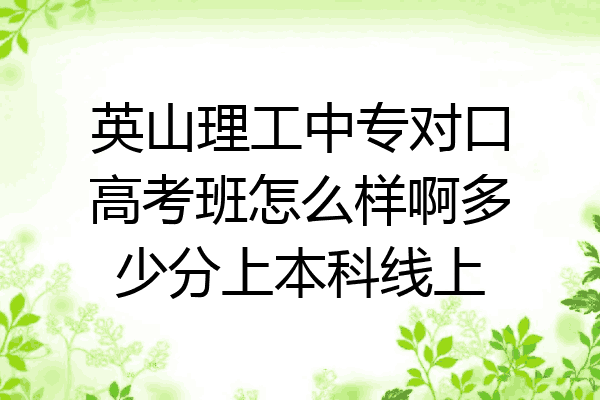 英山理工中专对口高考班怎么样啊多少分上本科线上