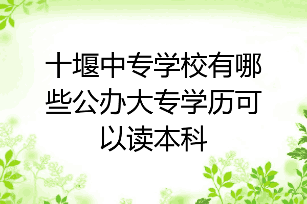 十堰中专学校有哪些公办大专学历可以读本科