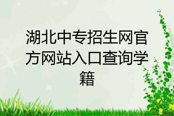 湖北中专招生网官方网站入口查询学籍