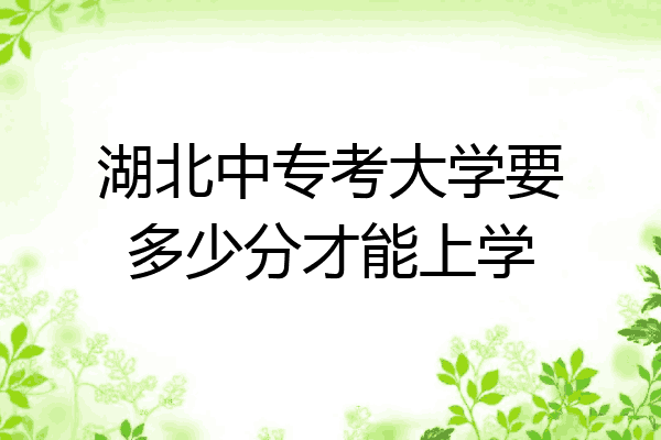 湖北中专考大学要多少分才能上学