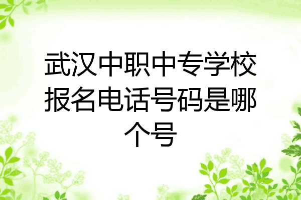 武汉中职中专学校报名电话号码是哪个号